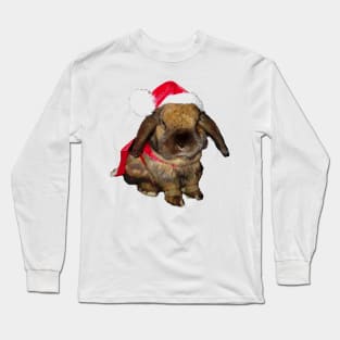 Holiday Rabbit Santa Claus Long Sleeve T-Shirt